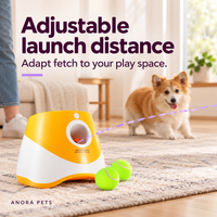 Automatic Ball Launcher